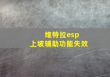 维特拉esp 上坡辅助功能失效